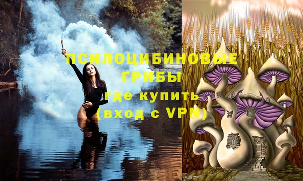 Альфа ПВП Армянск