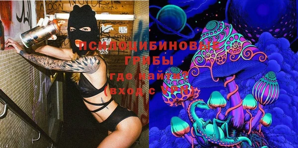Альфа ПВП Армянск