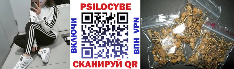 Псилоцибиновые грибы ЛСД Пустошка